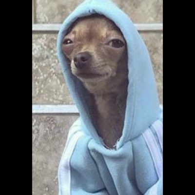 DGrafelman's tweet photo. #NewProfilePic https://t.co/N7lwxoBnQi