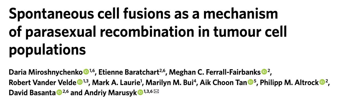 Cool new paper from  @AndriyMarusyk and colleagues: Cancer cells can have sex, and it makes them stronger.  https://www.nature.com/articles/s41559-020-01367-y