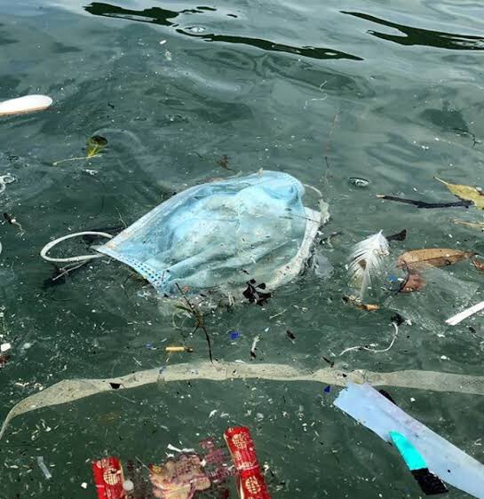 Amiguitos no se olviden d cortar las pitas de sus mascarillas cuando las vayan a desechar. 

Así evitamos que las aves se enreden con ellas! 

Y tírenlas en un tacho de basura caramba, estoy harta d ver mascarillas en el suelo