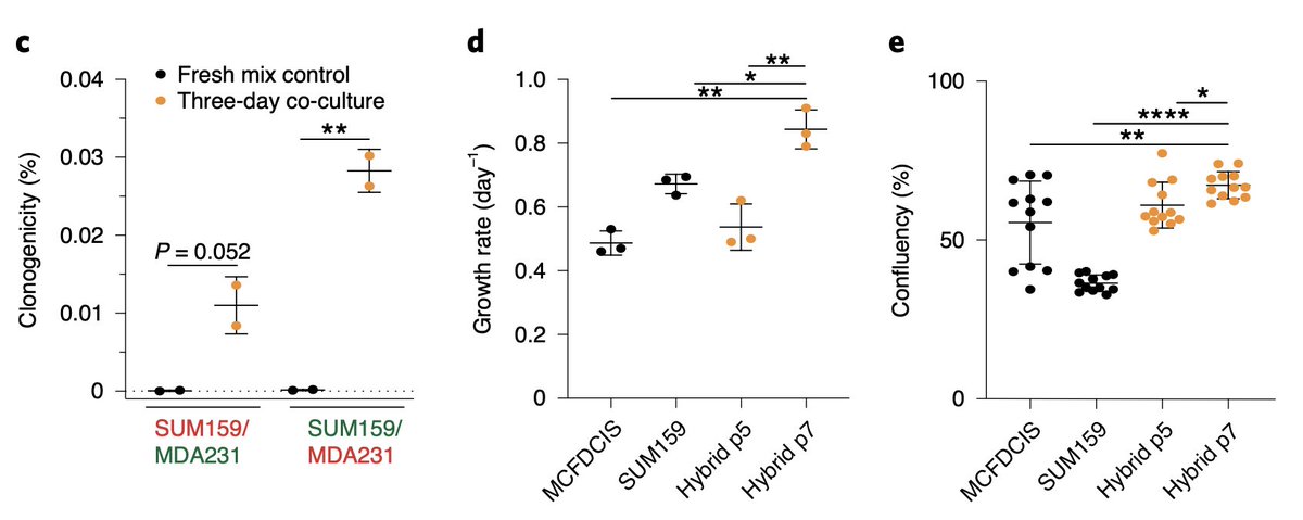 They characterized the malignant properties of these cells, and discovered that the fused cells exhibited increased proliferation and invasive behavior. This suggests that the fusion event increased their fitness.