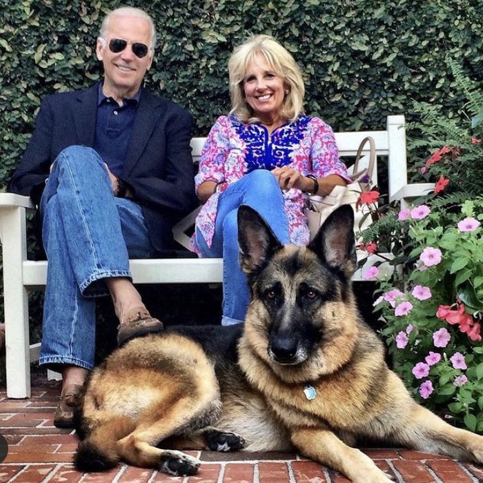 Bailey Warren tweet media