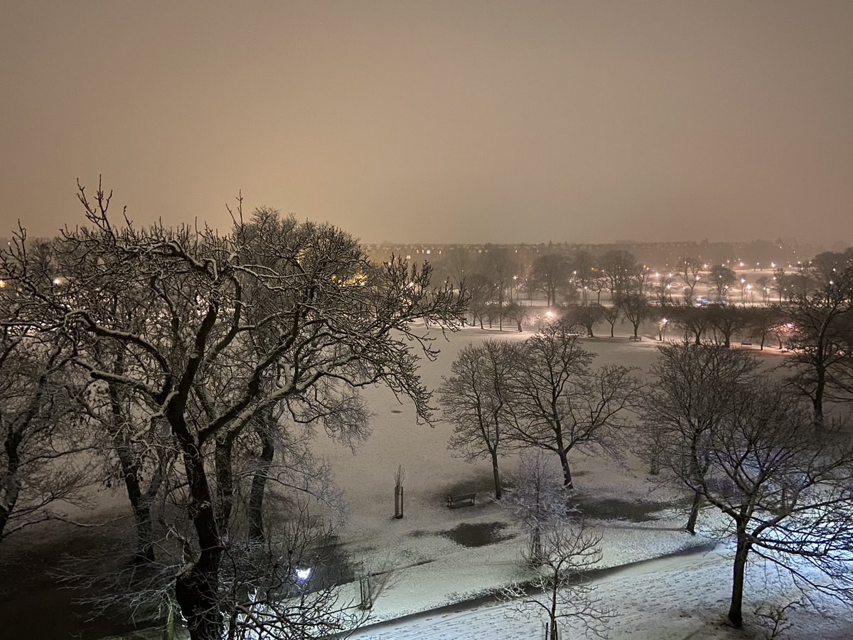Beathhigh's tweet photo. The Meadows, Edinburgh, 11.30pm. https://t.co/xMVLgK7aSu