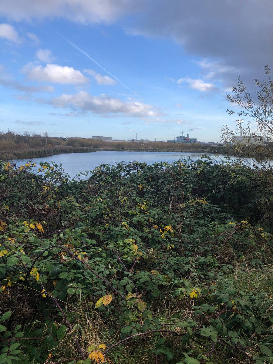 Even though tiny my comparison with what it would have been. Might this have been the fabled Dingesmere. The end for so many vikings after they waded by to their boats after the battle of Brunanburh.(Images copyright Wirral Archaeology)