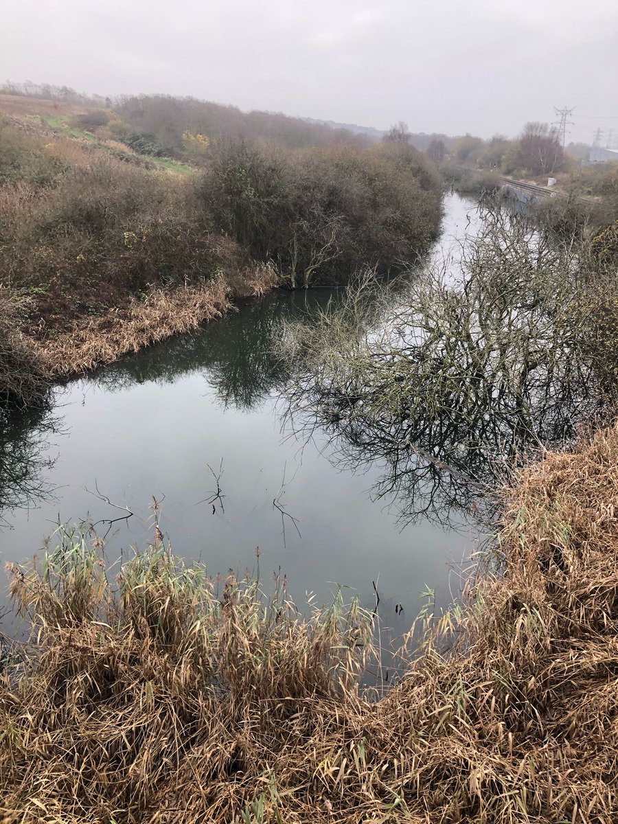 Even though tiny my comparison with what it would have been. Might this have been the fabled Dingesmere. The end for so many vikings after they waded by to their boats after the battle of Brunanburh.(Images copyright Wirral Archaeology)