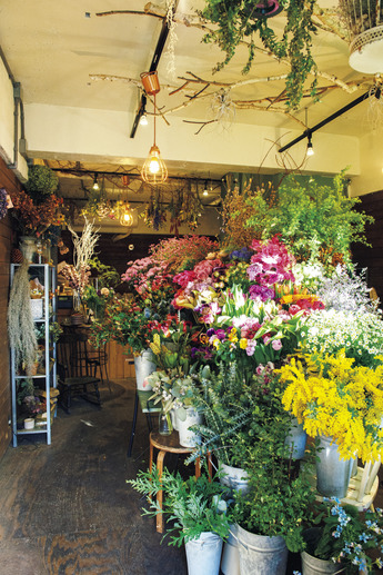 تويتر Brutus على تويتر アーカイブ記事 T Co I0xga4ldym 19年発売0号 花と花束 より Flower Shop Bouquet Guide から 現代的にアレンジされた 街の花屋 The Daffodils 東京 学芸大学 T Co Dqvfyi7uah