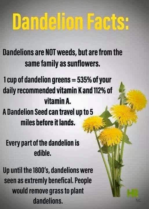 TerminatrixBorg's tweet image. 