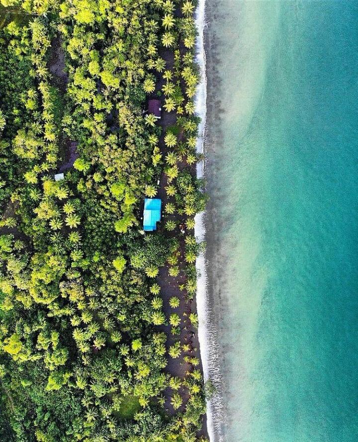 Pais_Hermoso's tweet photo. Bahía solano, Choco, Colombia 🇨🇴
📸bamorris https://t.co/sgeXMQqK2J