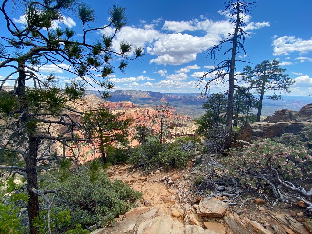 I went to elect Democrats, but also for the views