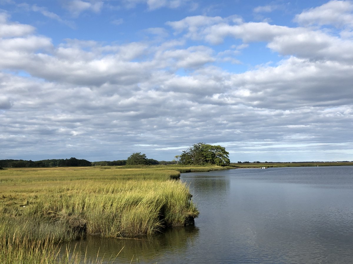 Seeking students interested in coastal ecosystems! We have 2 Research Experience for Undergraduates (REU) opportunities for Summer '21, w options for a range of research topics. Pls check it out &amp; share with UGs.  <a href="/BlackinMarSci/">Black in Marine Science</a> <a href="/sacnas/">SACNAS</a> <a href="/LatinxMarineSCI/">Latinx in the Marine Sciences</a> 
recruiting.ultipro.com/MAR1033MBL/Job…