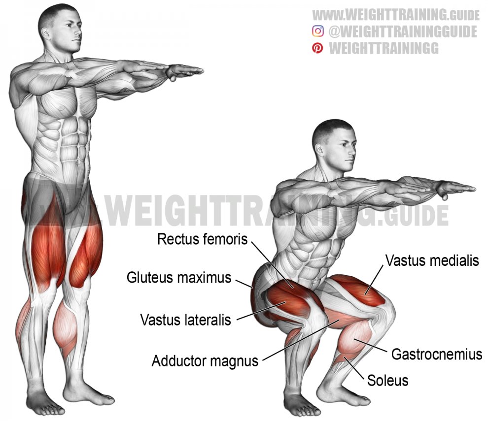 Top 8 Lower Body Bodyweight Exercises 1. Bodyweight squat-There are many variations, but the basic version is getting your hips to parallel If you cannot squat, you probably cannot move period High rep bodyweight squats (20+ reps) should be EASY