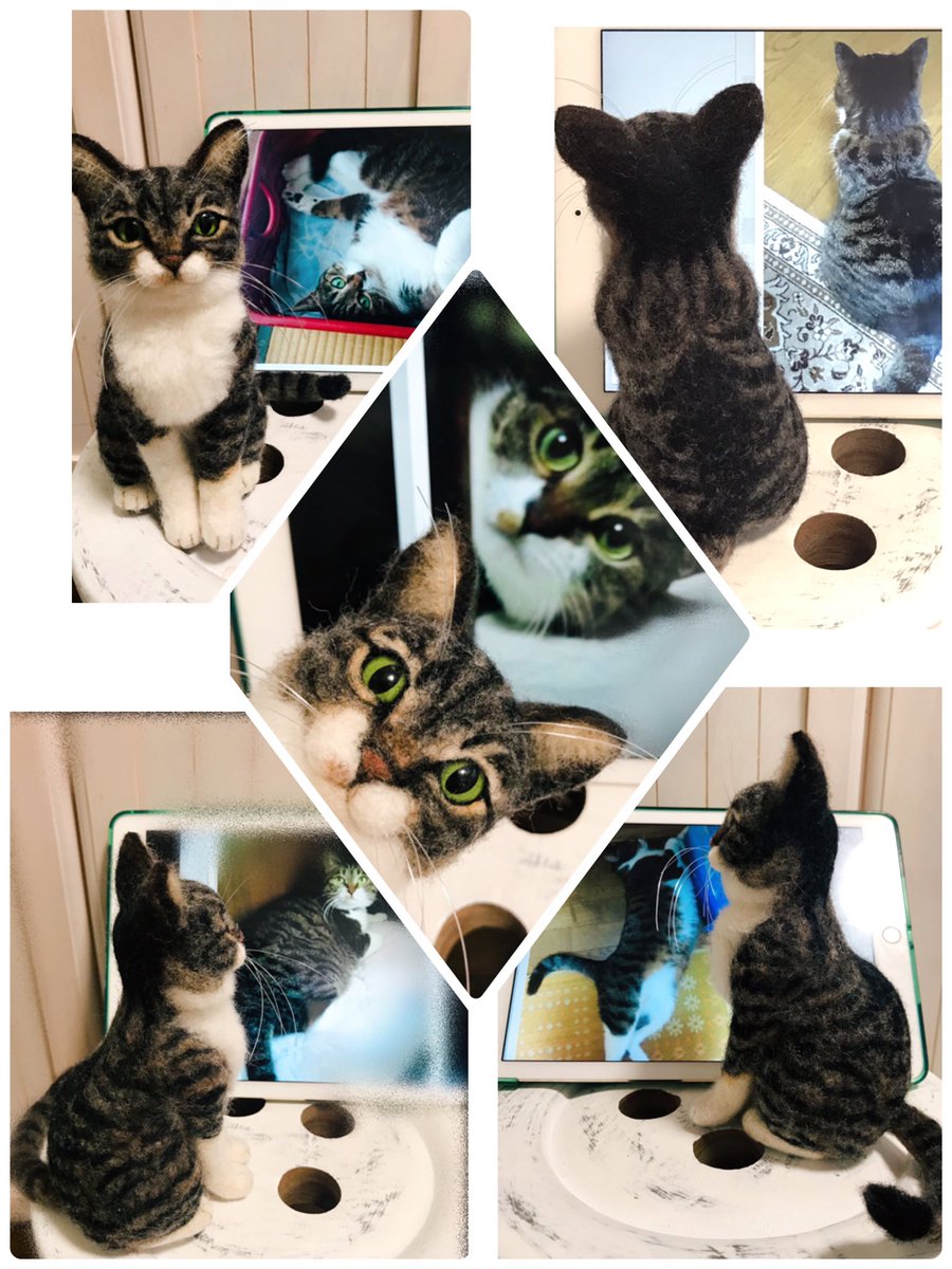 羊毛フェルト作家 めれんげど る 愛猫そっくり S オーダー作品 キジシロちゃんです くりくりしたグリーンの美しい瞳 ぷっくりしたマズルがチャームポイントの猫さん 複雑な毛色や模様も細かい所まで再現致しました キジ柄猫ちゃんは一番お時間 羊毛フェルト作家 めれんげど る 愛猫そっくり S オーダー作品 キジシロちゃんです くりくりしたグリーンの美しい瞳 ぷっくりしたマズルがチャームポイントの猫さん 複雑な毛色や模様も細かい所まで再現致しました キジ柄猫ちゃんは一番お時間