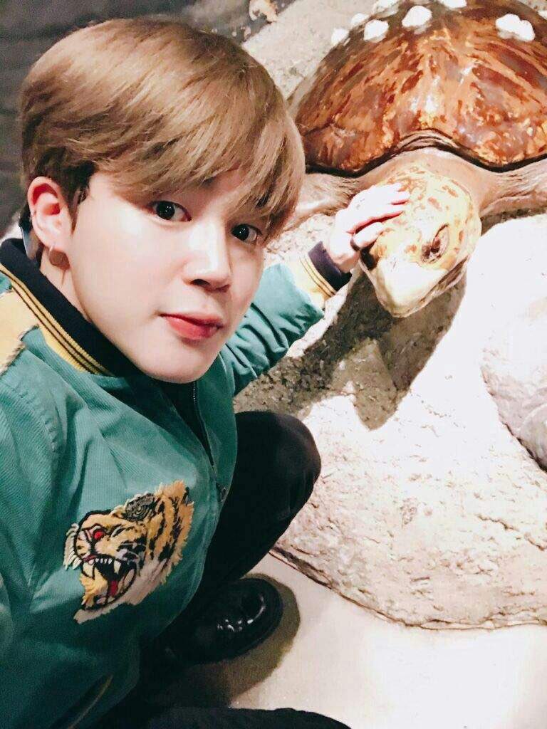  #Jimin with animals is adorable!  @BTS_twt