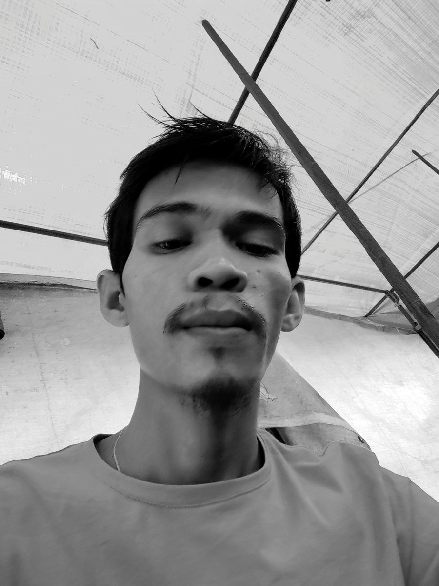 Ayen tweet media