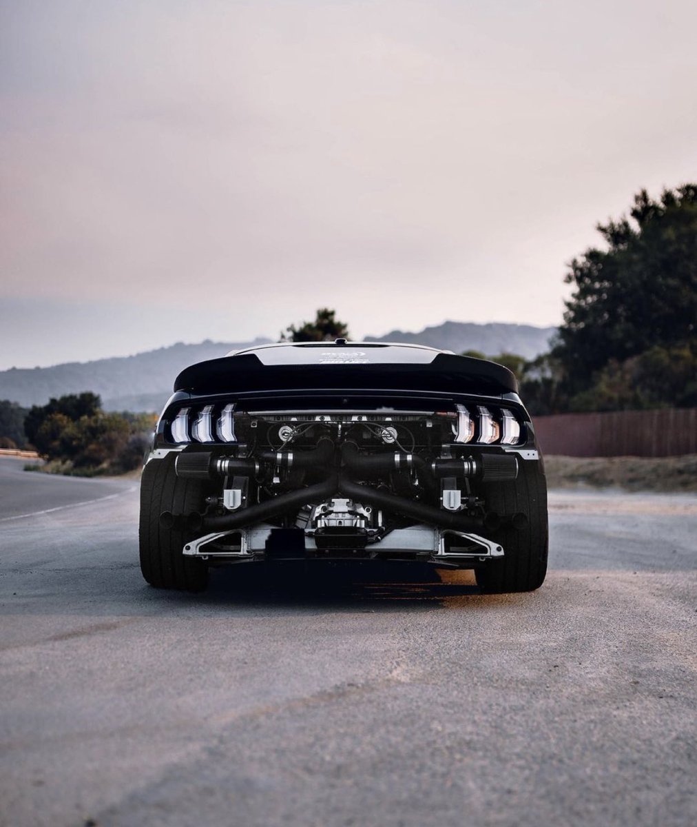 Mustangtopic tweet media