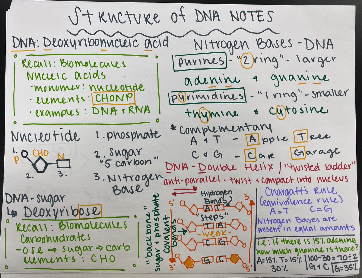 Gottschalk_NISD's tweet photo. Learning to change what “taking notes” looks like and ngl I’m kinda loving it!!! gone are the days of fill in the blanks! #gottsbio https://t.co/R8v39VeN3A