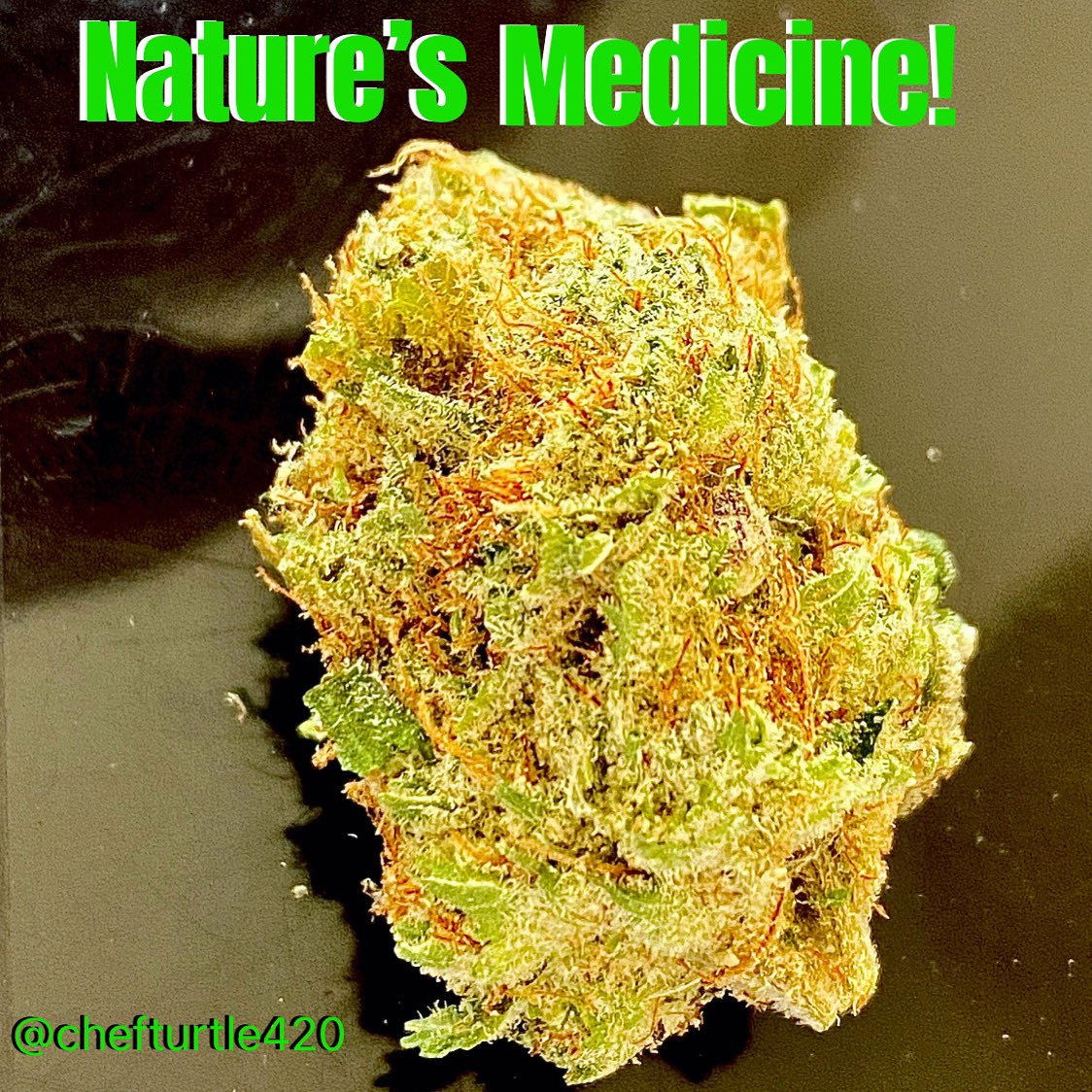 ChefTurtle2's tweet photo. π’π #chefturtle420 #chefturtlesinfusionkitchen #infusedmacandcheese #InfusionChef #420chef #weedchef #weedcookies #weedlemonade #weedbrisket #weedricecrispytreats #420vibes #420Friendly #420daily #marijuanaismedicine #weedlife #cannabiscup #cannabis #cannabischef https://t.co/JHALXhWdeS