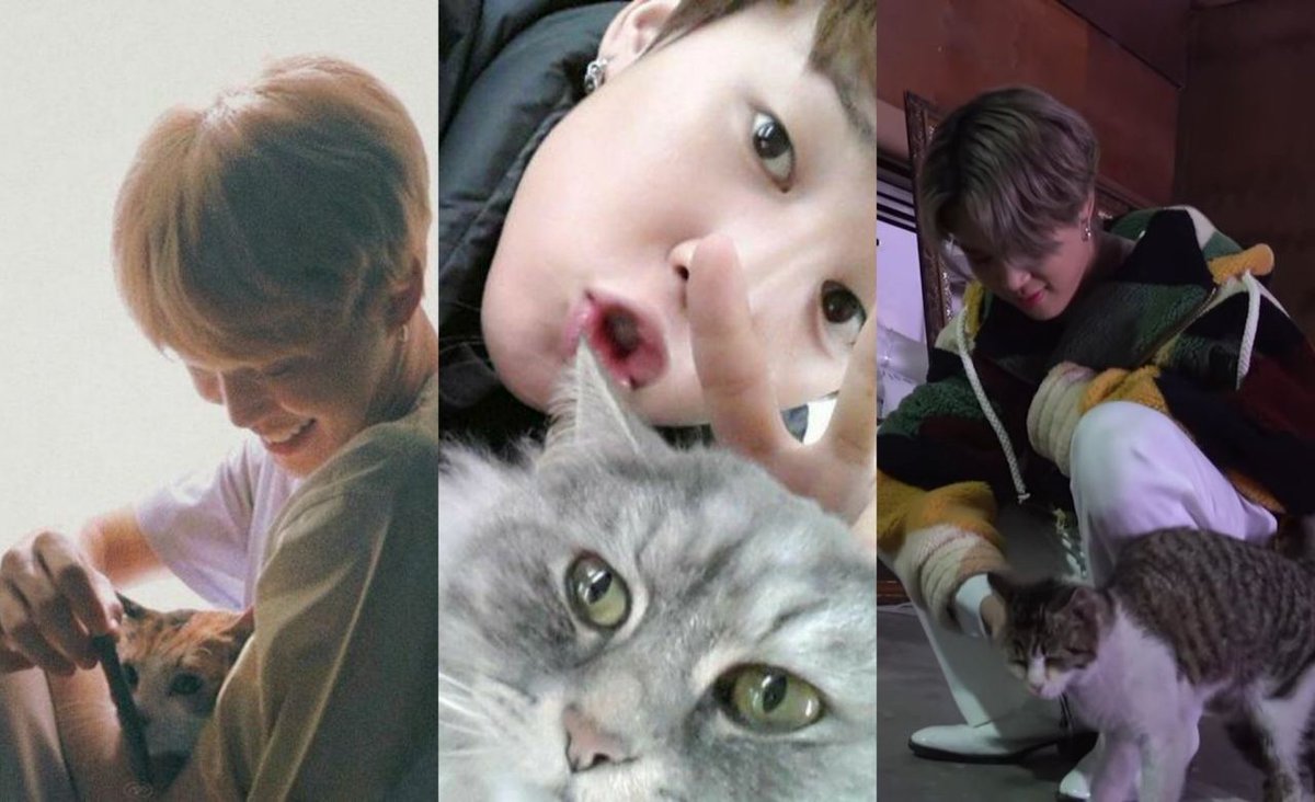 aakti_young's tweet photo. I want to be a cat🐈❤
#JIMIN #cat #army #ipurpleyou #love https://t.co/Qj0cnD1kyl