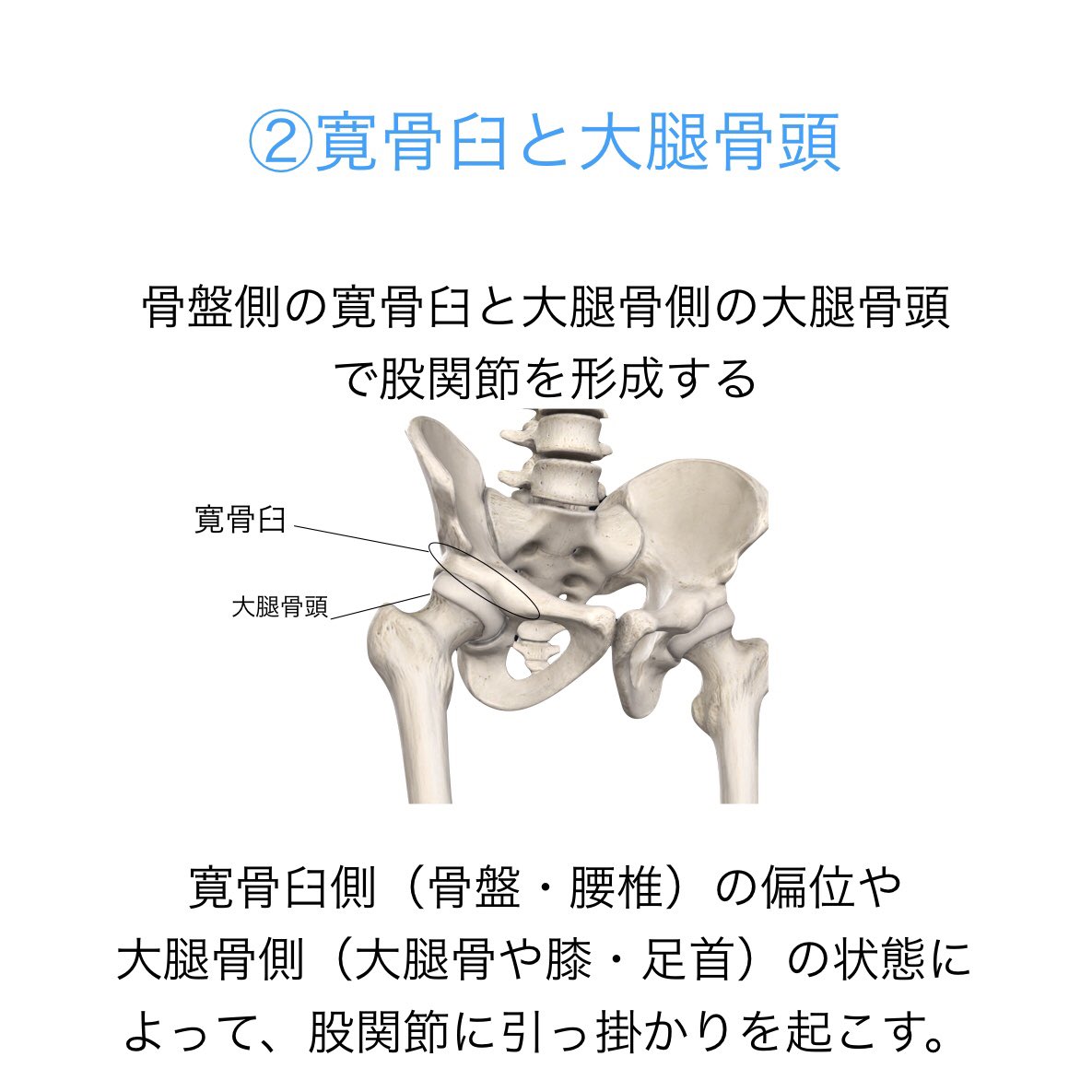 グロインペイン グロインペイン