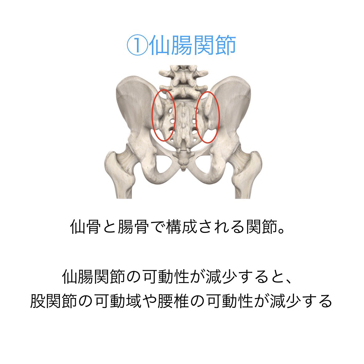 グロインペイン グロインペイン