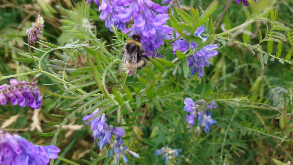 This year surely has to be the year my house gets built; it's been such a long wait. Reykjavík is a fine city, but I get homesick for my land, especially in the winter. My heart is in the countryside...