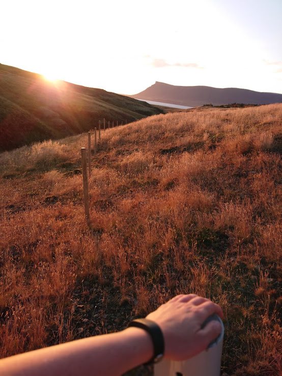 This year surely has to be the year my house gets built; it's been such a long wait. Reykjavík is a fine city, but I get homesick for my land, especially in the winter. My heart is in the countryside...