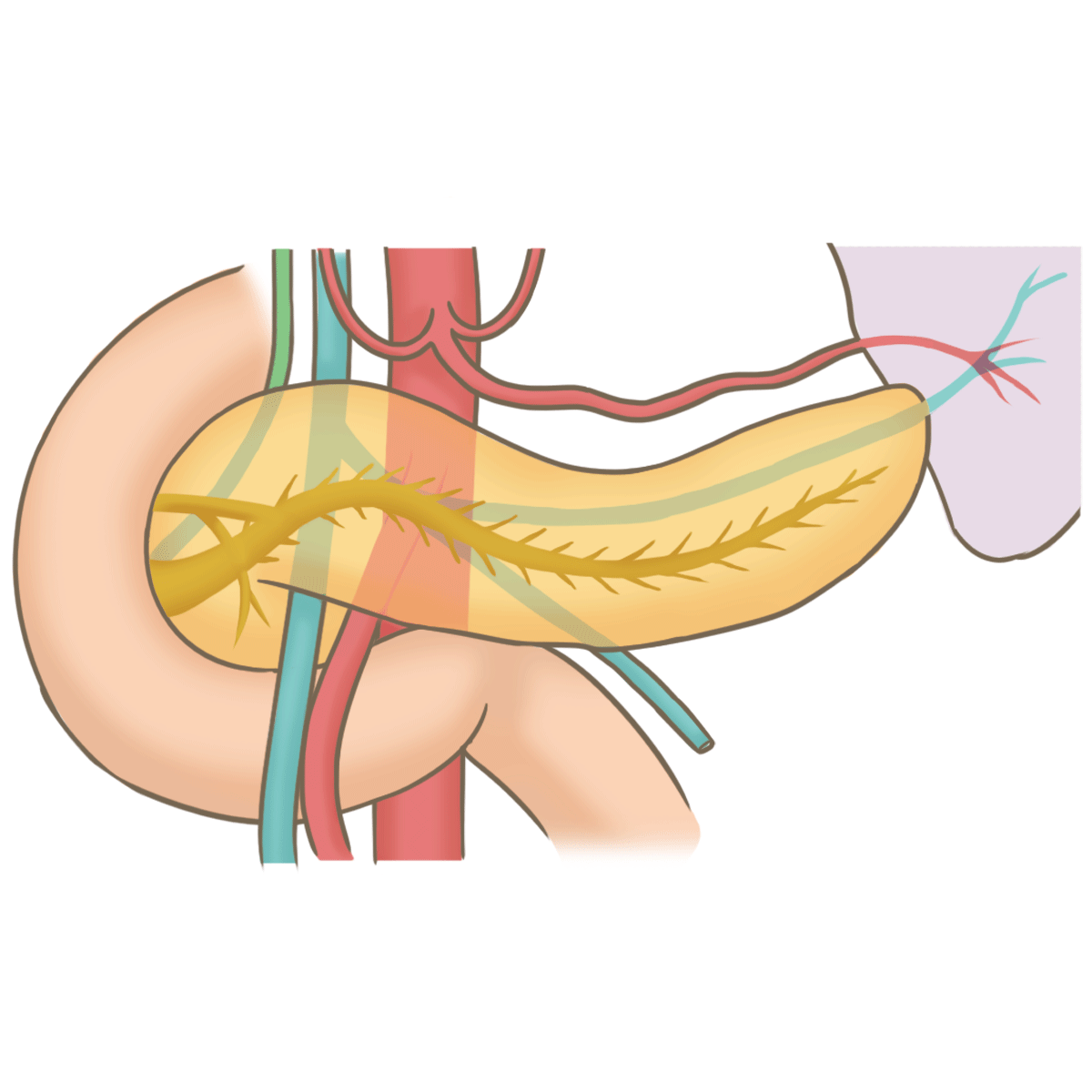 Medix Fitness 24時間営業のストレッチ重視フィットネスジム Medix Nishihiro Twitter