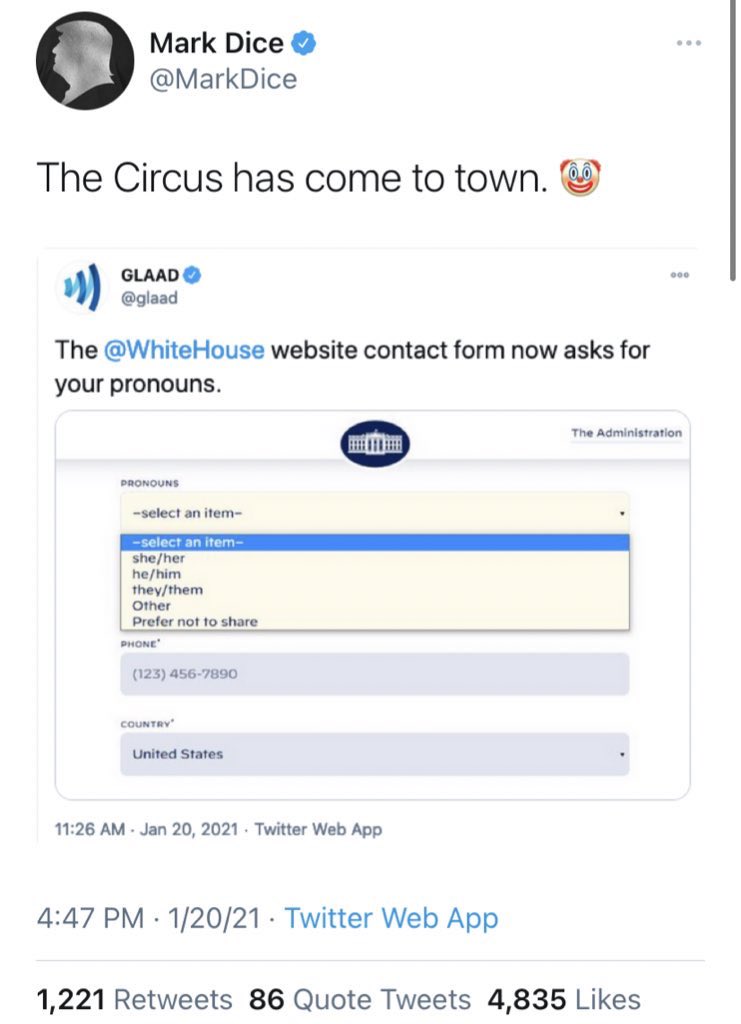 RationalDis's tweet image. imagine getting this triggered over a drop down menu option