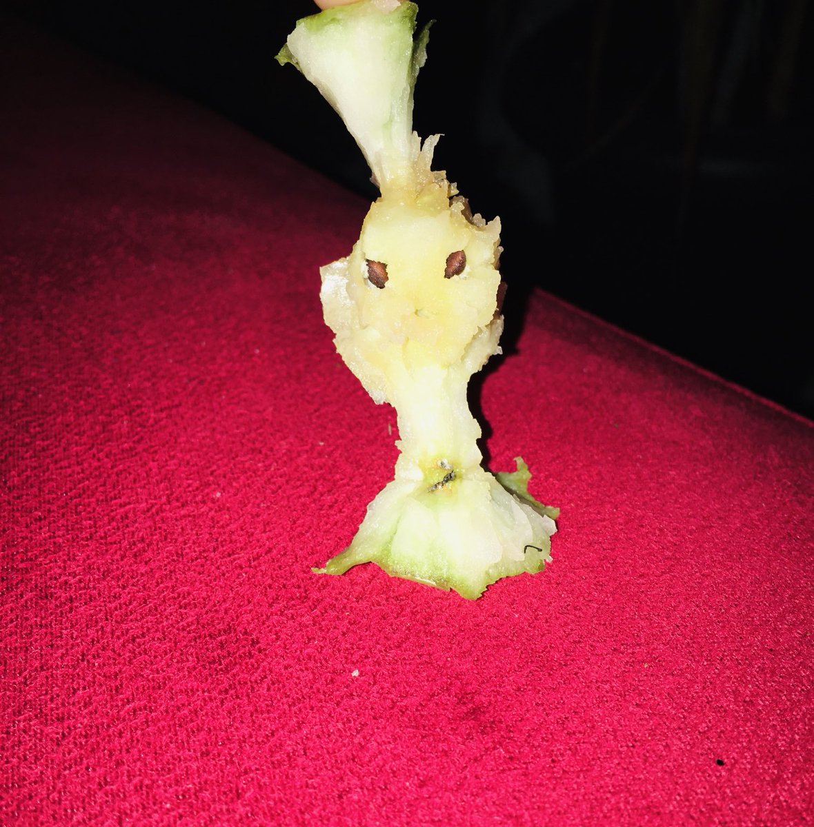 I am Groot’s cousin Froot