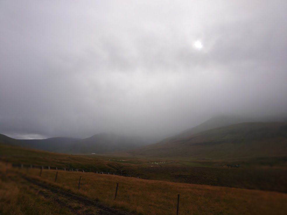 This year surely has to be the year my house gets built; it's been such a long wait. Reykjavík is a fine city, but I get homesick for my land, especially in the winter. My heart is in the countryside...