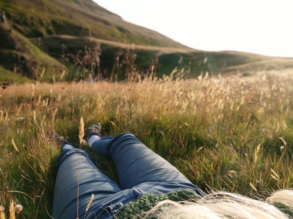 This year surely has to be the year my house gets built; it's been such a long wait. Reykjavík is a fine city, but I get homesick for my land, especially in the winter. My heart is in the countryside...