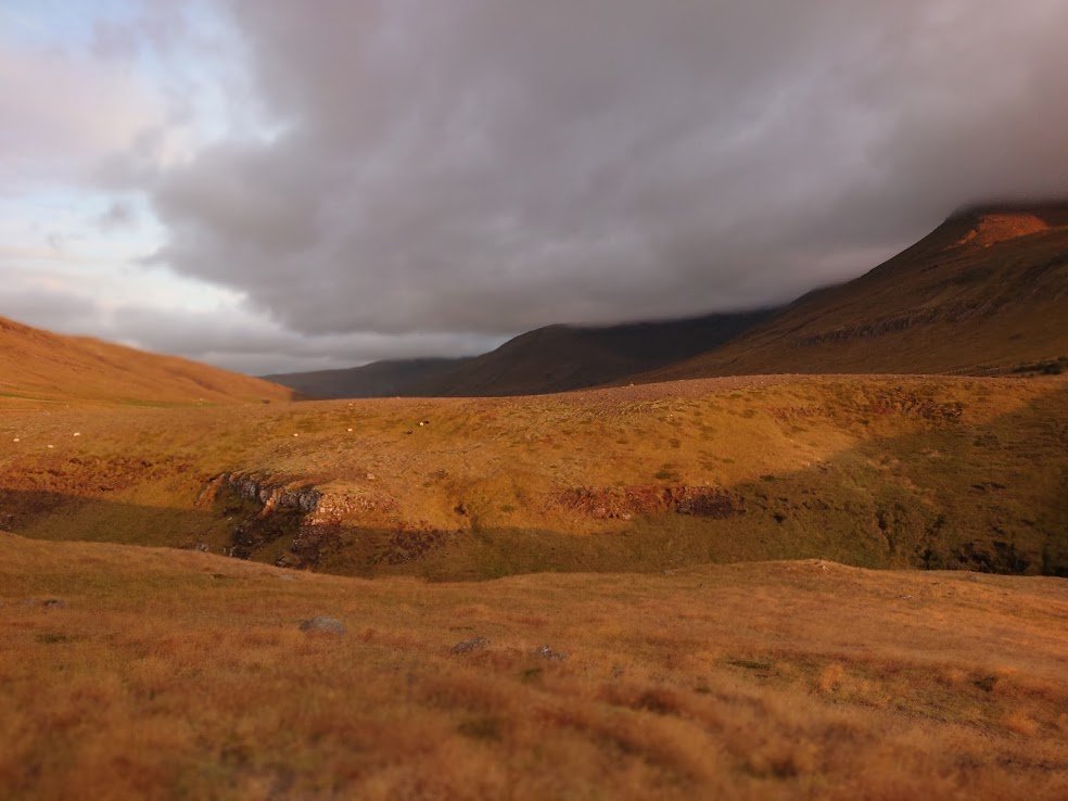 This year surely has to be the year my house gets built; it's been such a long wait. Reykjavík is a fine city, but I get homesick for my land, especially in the winter. My heart is in the countryside...