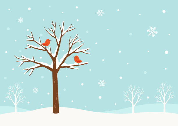 PARENTSHAWAII's tweet photo. Check out our Winter Newsletter ❄ !! Hope everybody had a safe and Happy New Year!! 😀 Mahalo!!
https://t.co/xdsPM8Cwr4 https://t.co/x1fdetMvKM