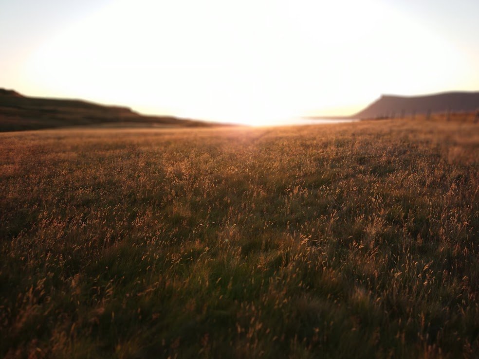 This year surely has to be the year my house gets built; it's been such a long wait. Reykjavík is a fine city, but I get homesick for my land, especially in the winter. My heart is in the countryside...