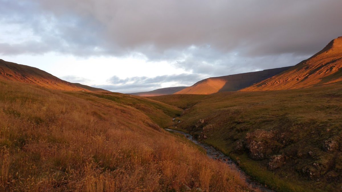 This year surely has to be the year my house gets built; it's been such a long wait. Reykjavík is a fine city, but I get homesick for my land, especially in the winter. My heart is in the countryside...