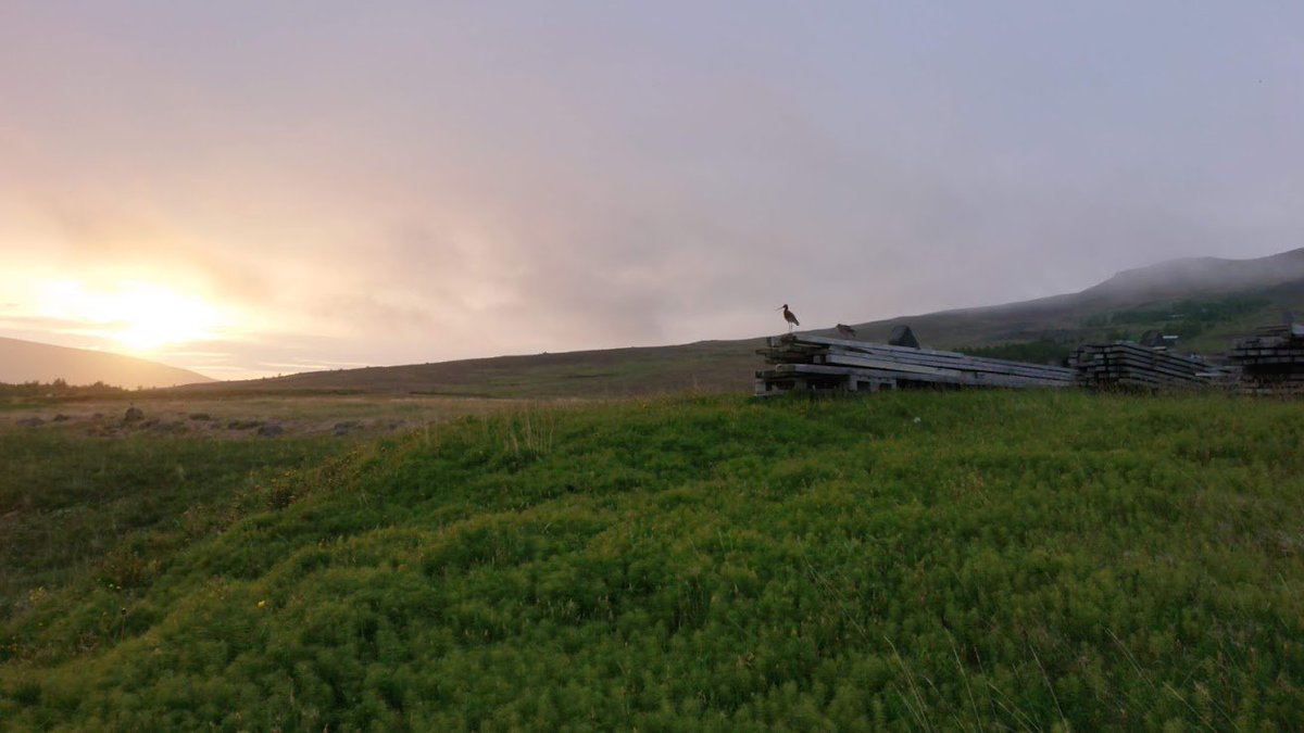 This year surely has to be the year my house gets built; it's been such a long wait. Reykjavík is a fine city, but I get homesick for my land, especially in the winter. My heart is in the countryside...