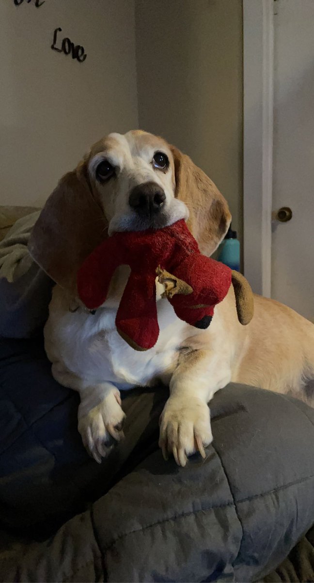 Just appreciating my ten year old beauty 🥰