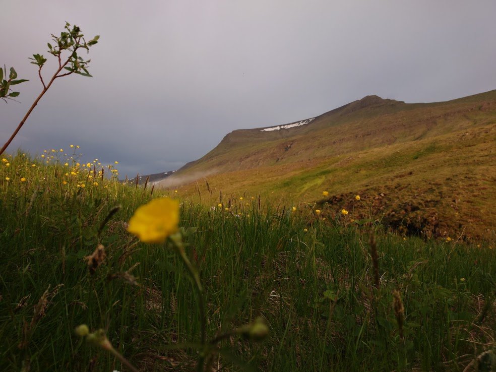 This year surely has to be the year my house gets built; it's been such a long wait. Reykjavík is a fine city, but I get homesick for my land, especially in the winter. My heart is in the countryside...