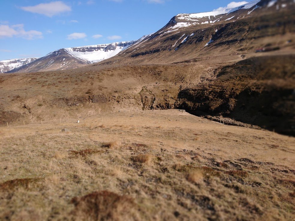 This year surely has to be the year my house gets built; it's been such a long wait. Reykjavík is a fine city, but I get homesick for my land, especially in the winter. My heart is in the countryside...