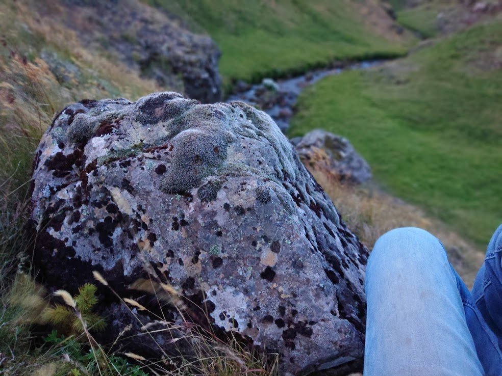 This year surely has to be the year my house gets built; it's been such a long wait. Reykjavík is a fine city, but I get homesick for my land, especially in the winter. My heart is in the countryside...