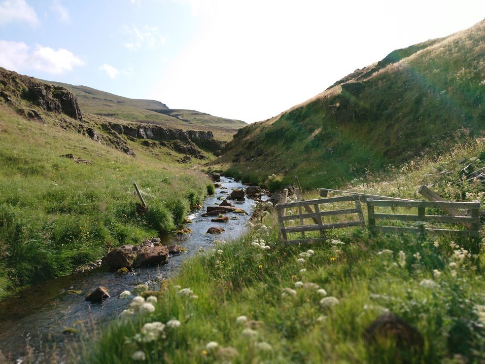 This year surely has to be the year my house gets built; it's been such a long wait. Reykjavík is a fine city, but I get homesick for my land, especially in the winter. My heart is in the countryside...