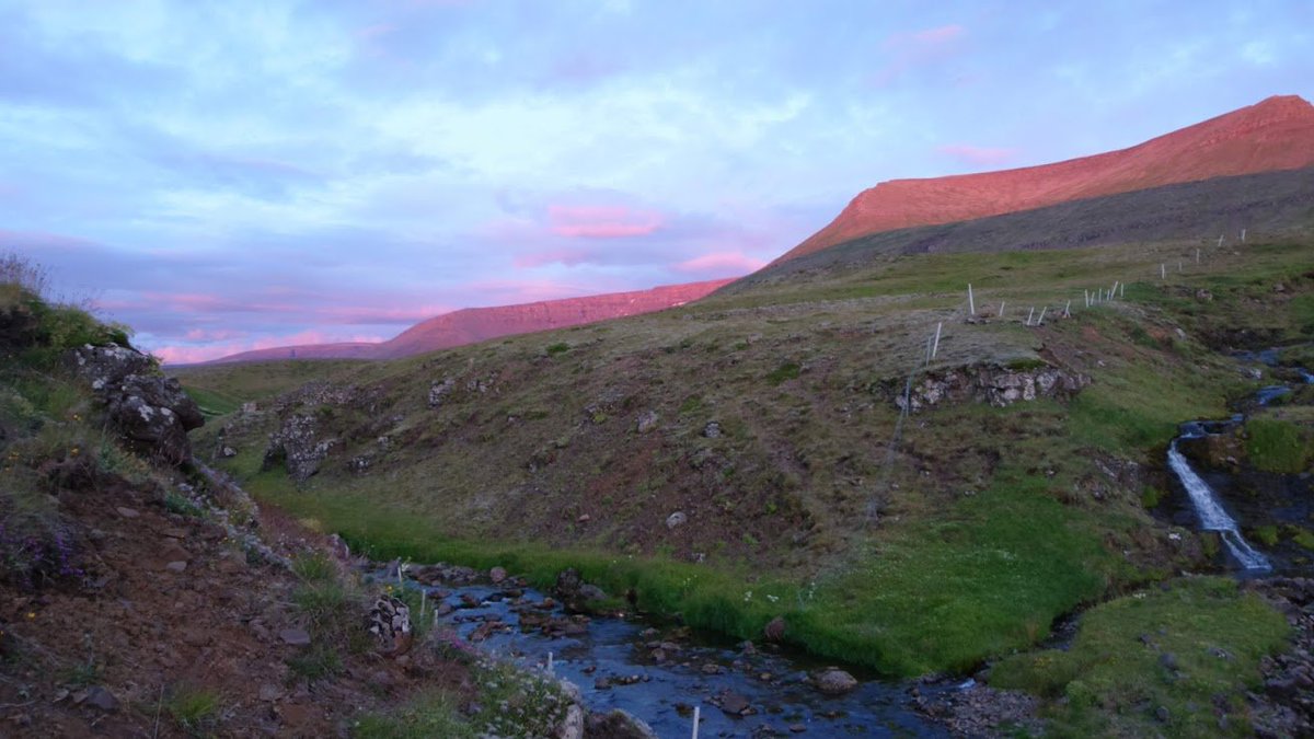 This year surely has to be the year my house gets built; it's been such a long wait. Reykjavík is a fine city, but I get homesick for my land, especially in the winter. My heart is in the countryside...