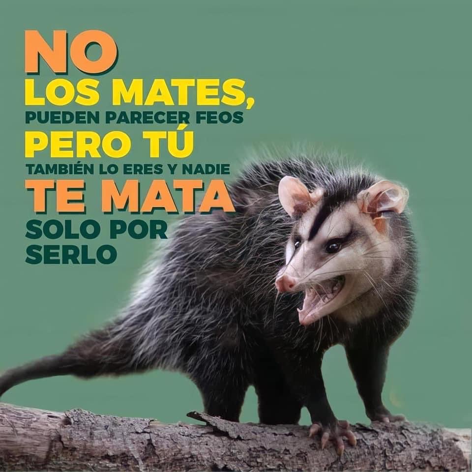 PeatonVigilante's tweet photo. https://t.co/Utz1Y3VXBi