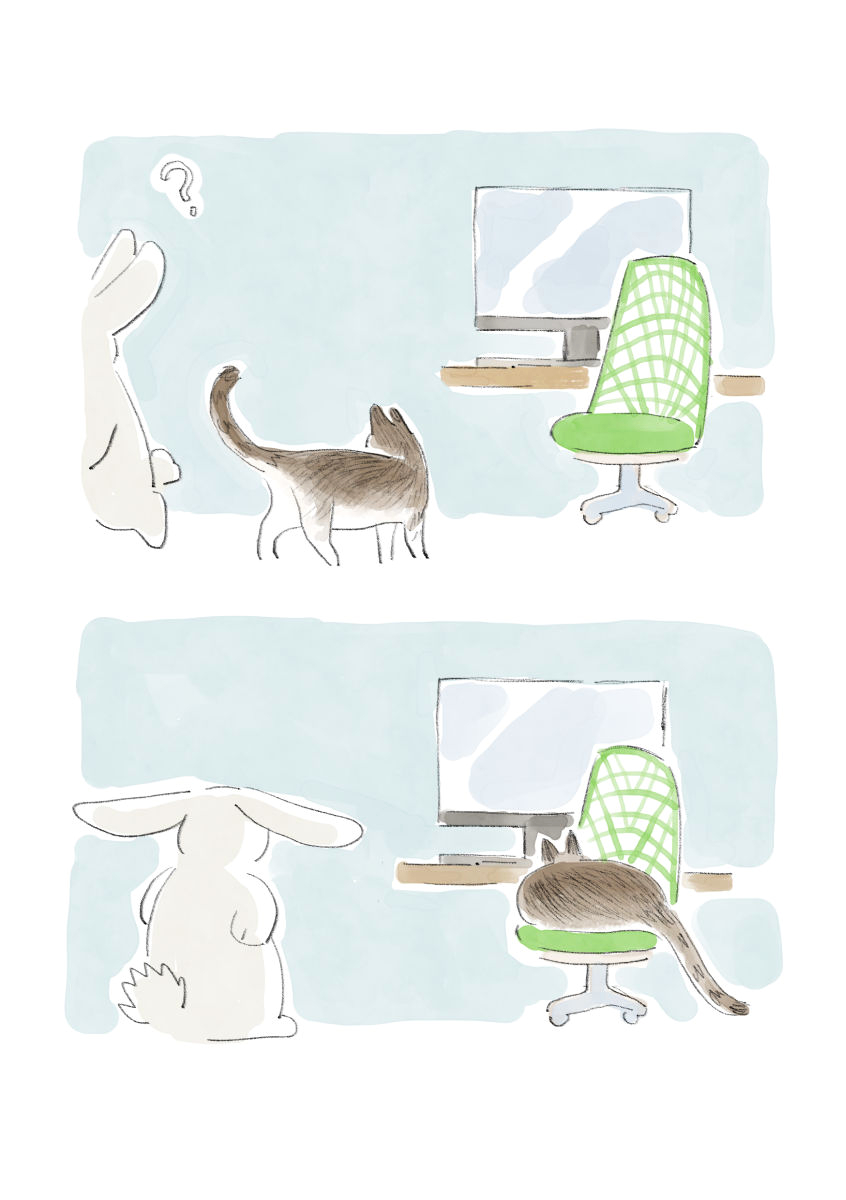 Every day 