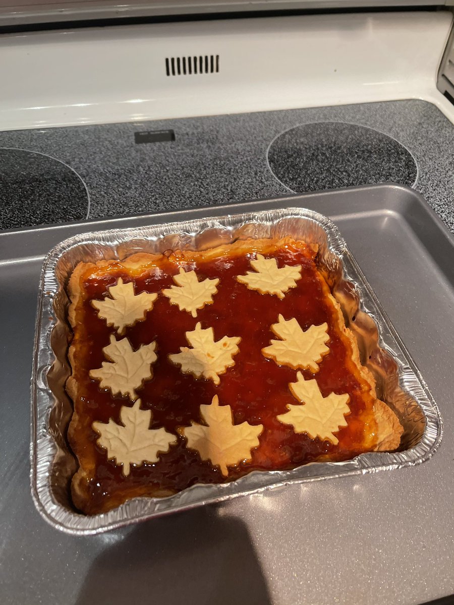 alleb88's tweet photo. @RajivKumarMD I made inauguration apricot pie. I know it looks utterly Canadian but I didn’t have Star shaped cookie cutters.. and it couldn’t hurt us to be a little bit more Canadian. Nicer to each other, more polite. After four years we all need it. https://t.co/mUviFaz7VG