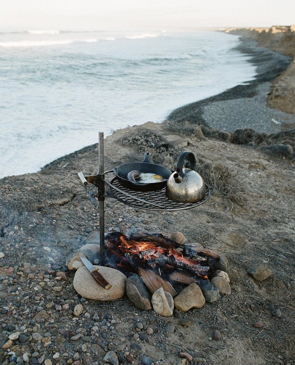 Caravan_Designs's tweet image. Morning routine in check