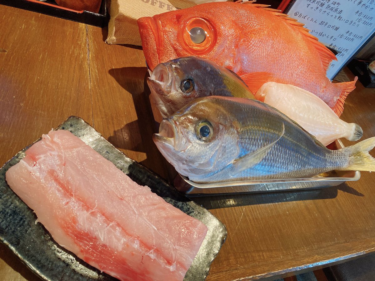 ট ইট র お魚とお酒の店 釣よし 本日のお刺身セットはこちらのお魚達です キントキダイ アオダイ ウメイロ ウスバハギ カンパチでーす O O 特にキントキダイは結構レアです ぜひぜひご利用下さいませ 釣よし 三鷹 新川 居酒屋 ランチ お刺身