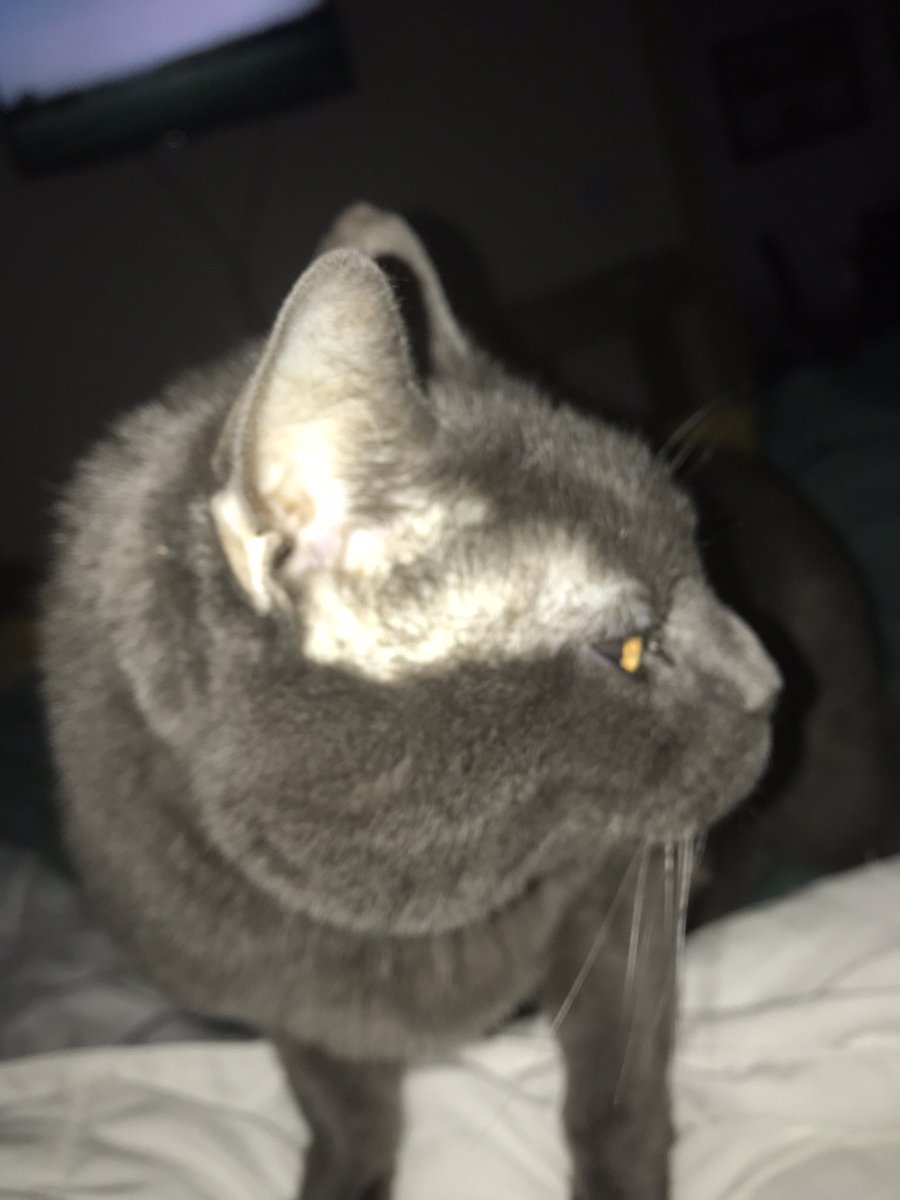 EsperJason's tweet image. I miss my boys