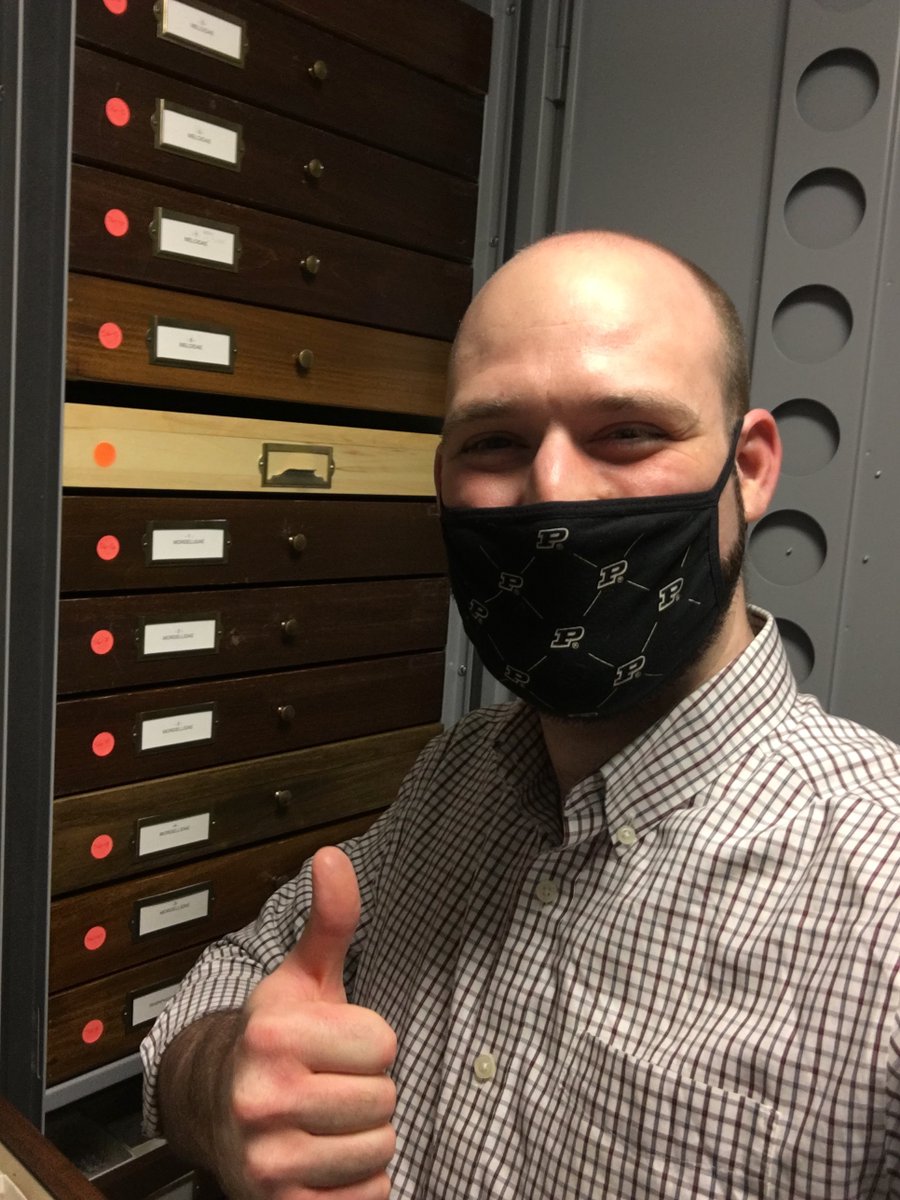AgeOfArthropods's tweet photo. This #MuseumSelfieDay I spent some time looking at #tenebs in the Purdue Entomological Research Collection! https://t.co/tEsLXvIYRi