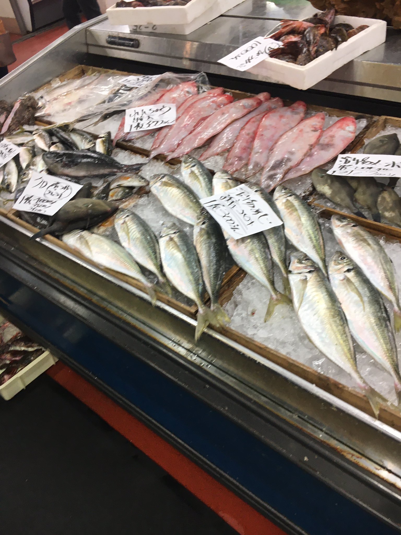ほっけ 仕事中やけど道の駅に寄り道 仕事中やなかったら魚買って帰ったのに 山口県 潮騒市場 T Co Rxrd77lyli Twitter