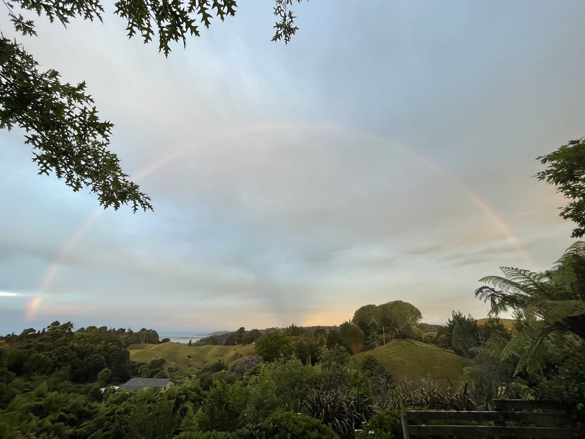 Haydn Read tweet media